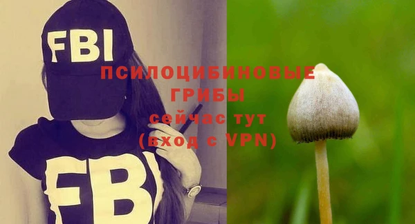 первитин Абаза