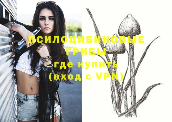 прущие грибы Абдулино