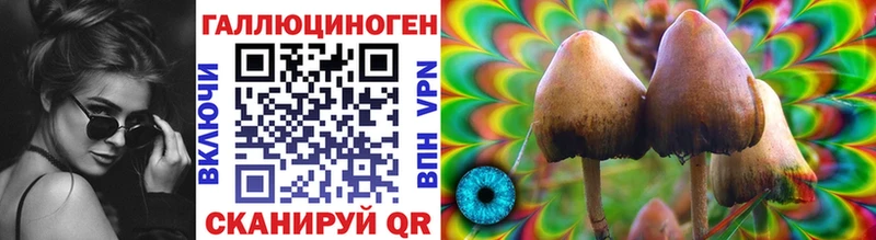 Псилоцибиновые грибы мицелий  Канск 